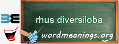 WordMeaning blackboard for rhus diversiloba